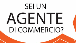 alcune dlle nostre telecamre da Ispezione
